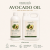 Dầu Bơ - Avocado Oil
