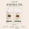 Dầu Jojoba – Jojoba Oil