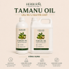 Dầu Mù U - Tamanu Oil