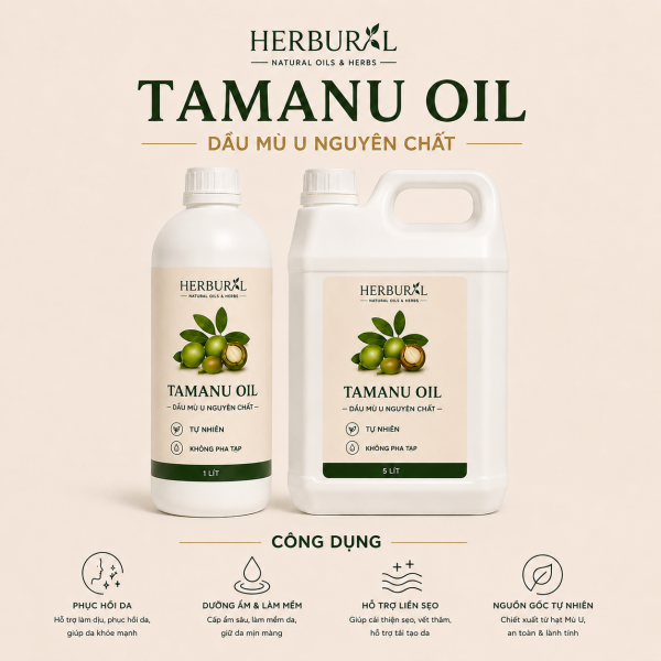 Dầu Mù U - Tamanu Oil