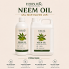 Dầu Neem - Neem Oil