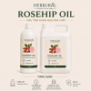 Dầu Tầm Xuân - Rosehip Seed Oil