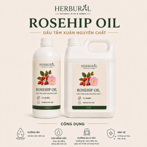 Dầu Tầm Xuân - Rosehip Seed Oil
